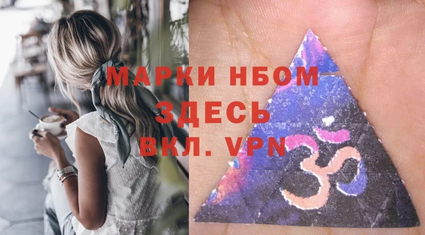 ECSTASY Белокуриха