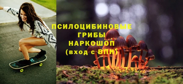 ешки Богородск