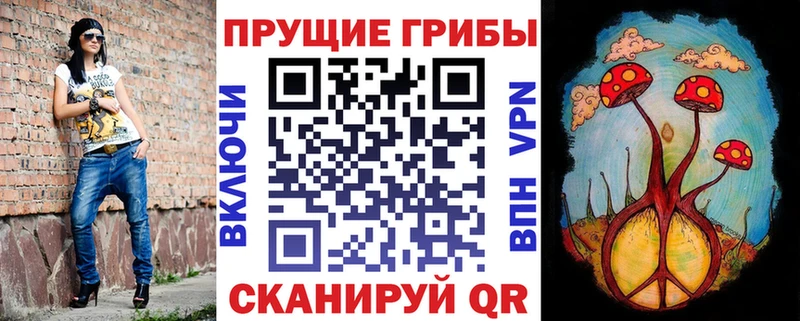 это Telegram  что такое наркотик  Белая Холуница  Галлюциногенные грибы GOLDEN TEACHER 